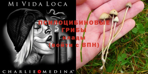Альфа ПВП Абдулино