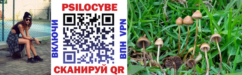 гидра маркетплейс  наркошоп  Пыталово  Галлюциногенные грибы Psilocybine cubensis 